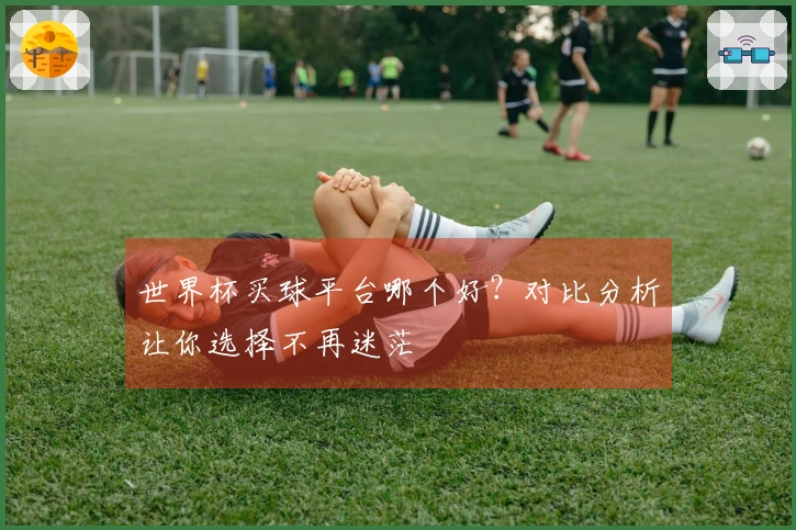 世界杯买球平台哪个好?对比分析让你选择不再迷茫