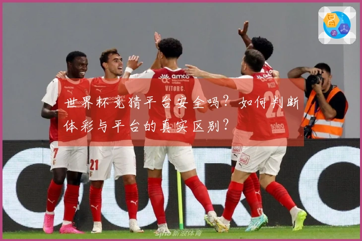 世界杯竞猜平台安全吗？如何判断体彩与平台的真实区别？