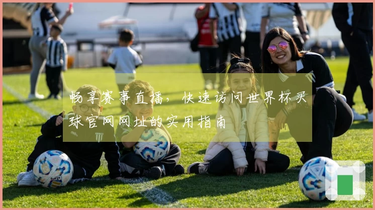 畅享赛事直播，快速访问世界杯买球官网网址的实用指南