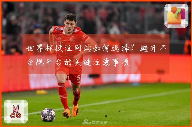 世界杯投注网站如何选择?避开不合规平台的关键注意事项