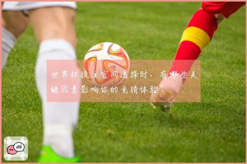 世界杯投注官网选择时,有哪些关键因素影响你的竞猜体验?
