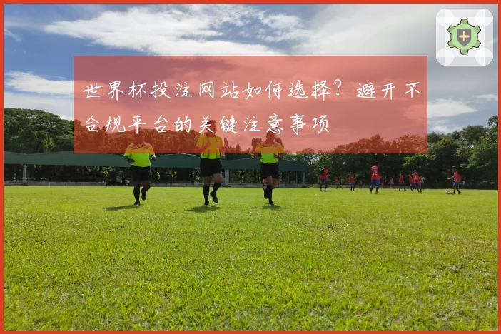 世界杯投注网站如何选择？避开不合规平台的关键注意事项
