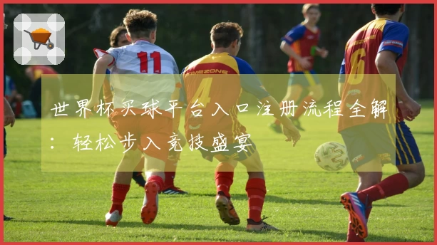 世界杯买球平台入口注册流程全解：轻松步入竞技盛宴