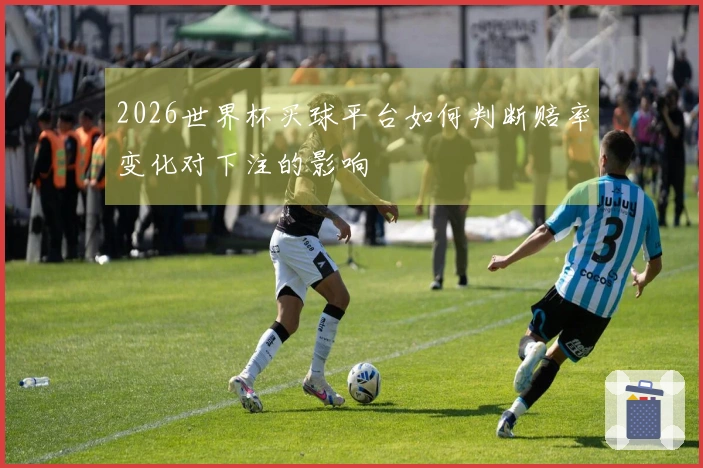 2026世界杯买球平台如何判断赔率变化对下注的影响