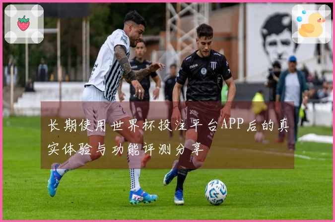长期使用世界杯投注平台APP后的真实体验与功能评测分享
