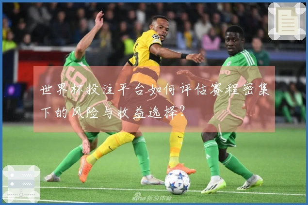 世界杯投注平台如何评估赛程密集下的风险与收益选择？