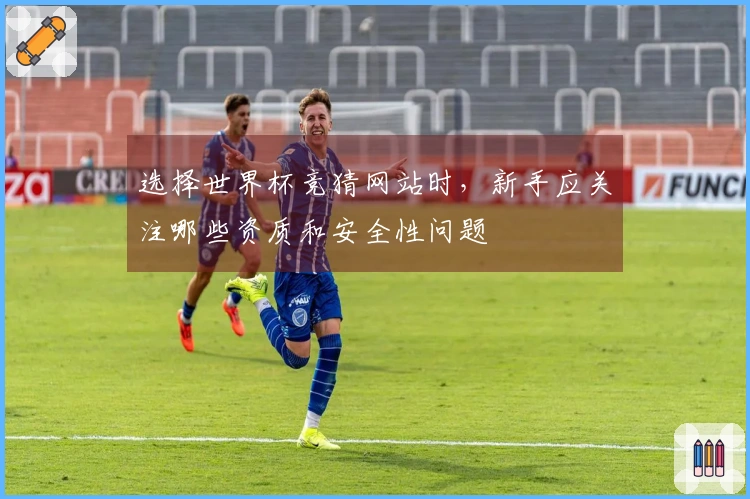 选择世界杯竞猜网站时,新手应关注哪些资质和安全性问题