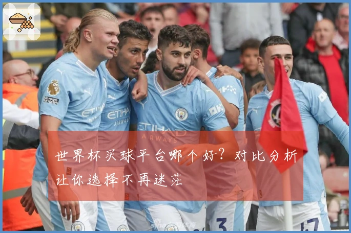 世界杯买球平台哪个好？对比分析让你选择不再迷茫