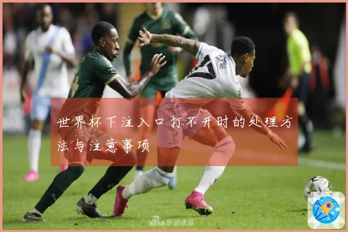 世界杯下注入口打不开时的处理方法与注意事项