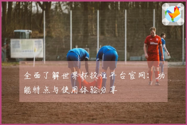 全面了解世界杯投注平台官网：功能特点与使用体验分享