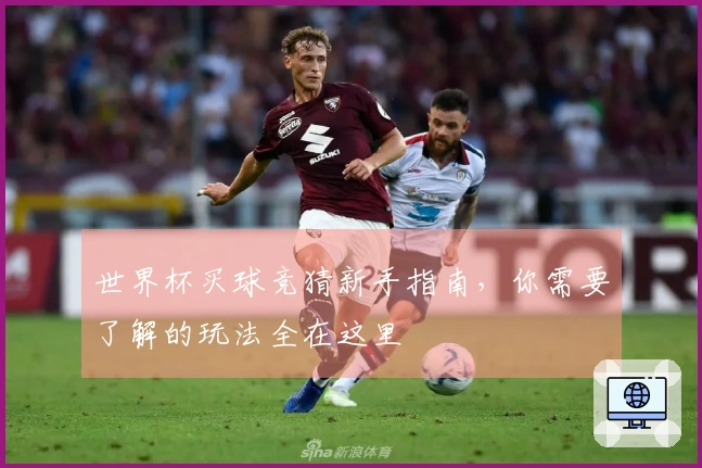 世界杯买球竞猜新手指南，你需要了解的玩法全在这里