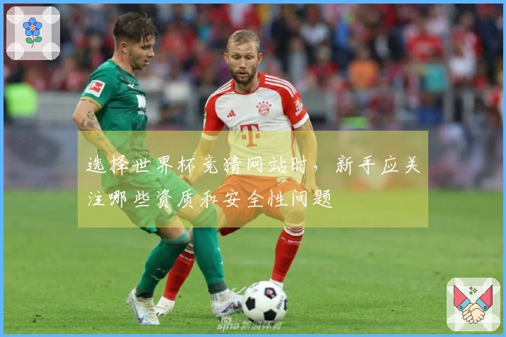 选择世界杯竞猜网站时，新手应关注哪些资质和安全性问题