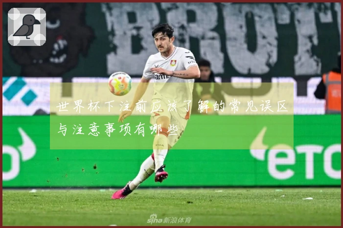 世界杯下注前应该了解的常见误区与注意事项有哪些