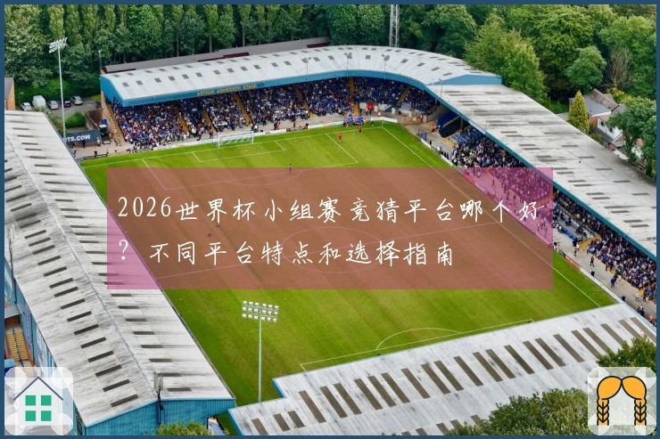 2026世界杯小组赛竞猜平台哪个好？不同平台特点和选择指南
