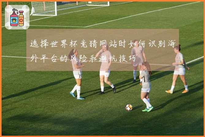 选择世界杯竞猜网站时如何识别海外平台的风险和避坑技巧