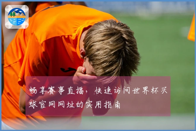 畅享赛事直播，快速访问世界杯买球官网网址的实用指南