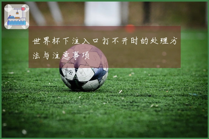 世界杯下注入口打不开时的处理方法与注意事项