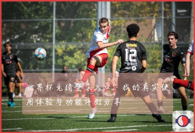 世界杯竞猜登录入口：我的真实使用体验与功能评测分享