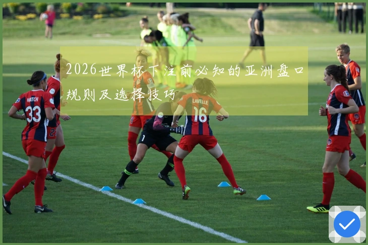 2026世界杯下注前必知的亚洲盘口规则及选择技巧